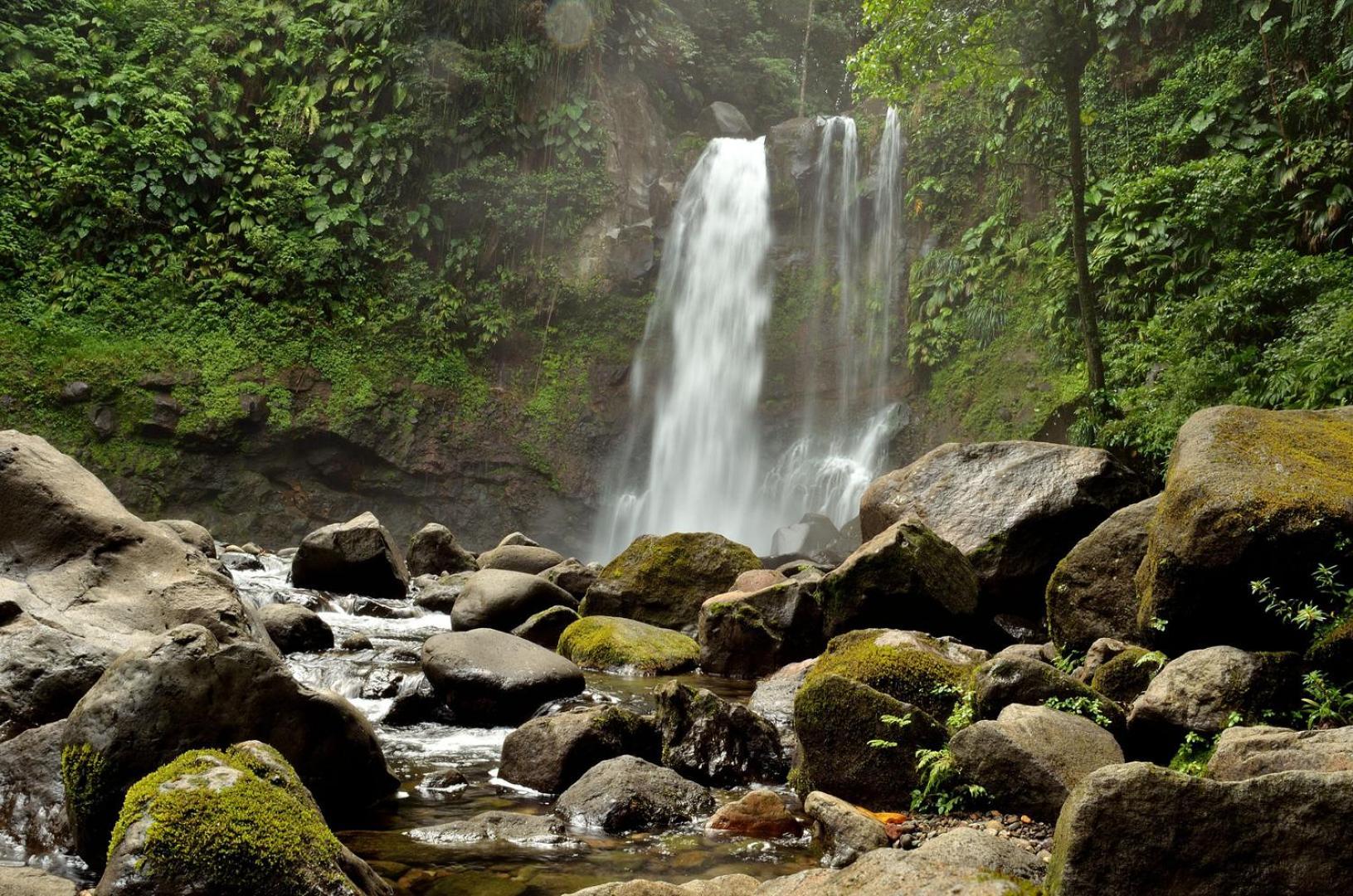 River Paradise Goyave Exterior foto